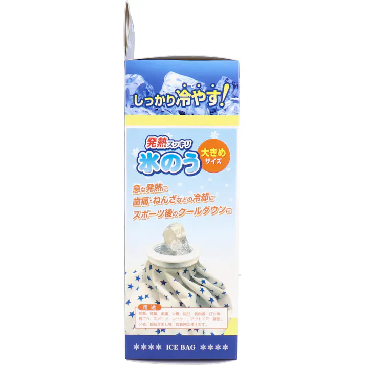 【10点まとめ買い】リーダー 発熱スッキリ 氷のう 大きめサイズ 1個入 × 10点 しっかり冷やす! 急な発熱に! 【送料込み】
