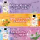 【10点まとめ買い】加湿器の除菌タイム アロマ マリンの香り 300mL × 10点 加湿器タンク内の雑菌を即効除去!加湿器に入れるだけ! 加湿器の雑菌をしっかり除去! 【送料込み】