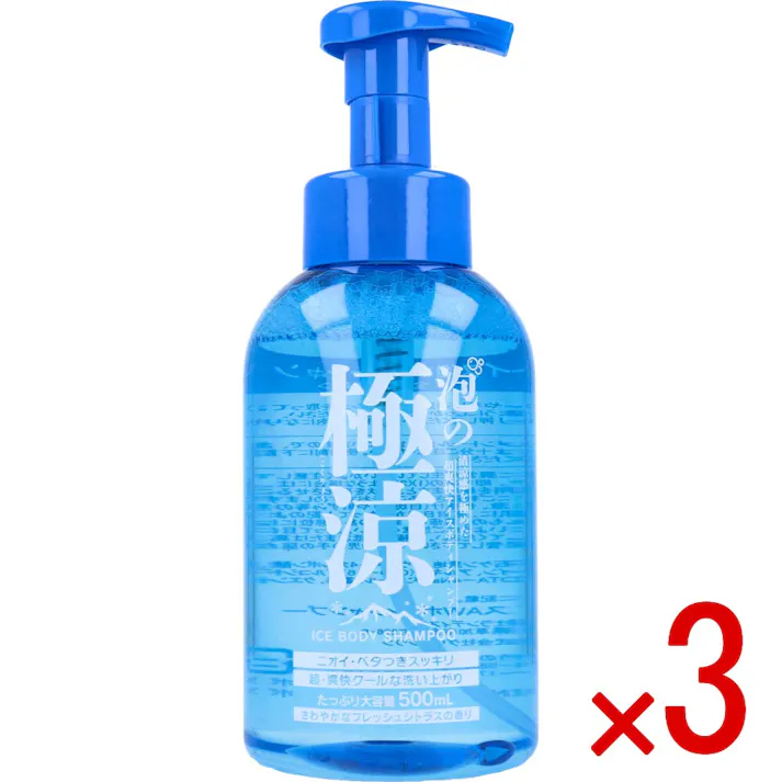 【3点まとめ買い】泡の極涼 アイスボディシャンプー 500mL × 3点 ニオイ・べたつきスッキリ! 清涼感を極めた超爽快アイスボディシャンプー。 【送料込み】