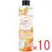 【10点まとめ買い】加湿器の除菌タイム アロマ 金木犀の香り 300mL × 10点 加湿器タンク内の雑菌を即効除去!加湿器に入れるだけ! 加湿器の雑菌をしっかり除去! 【送料込み】