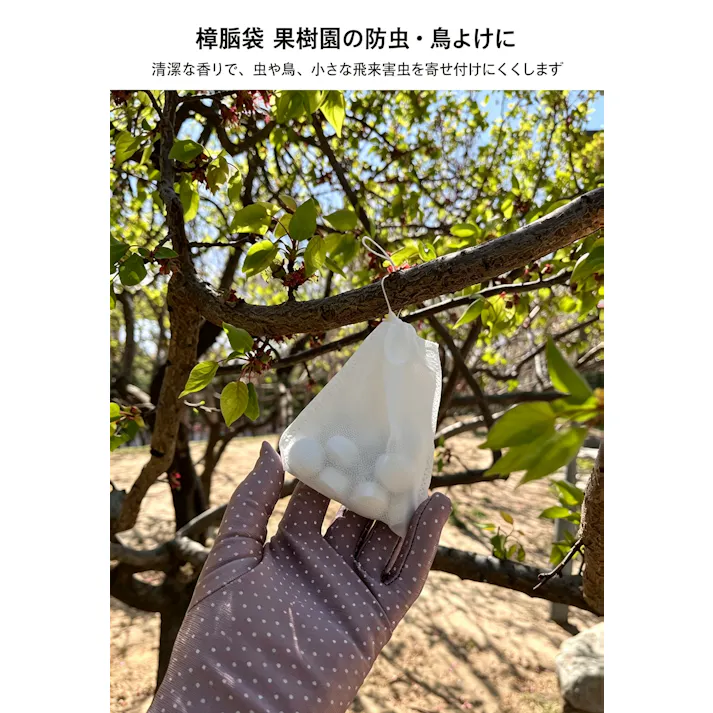 クスノキ玉 樟脳玉 防虫剤 衣類 収納庫用防虫防カビ樟脳ボール 果樹園の虫除け 鳥除けにも対応