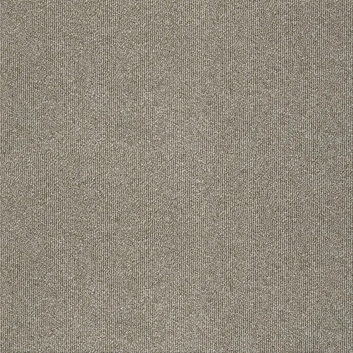 【ケース単位】サンゲツ タイルカーペット ZX 無地柄 1ケース 20枚入 50×50cm 50cm角 正方形 防炎 制電 ペット 無地 パネルカーペット ZX-1448 ZX1448 グレー