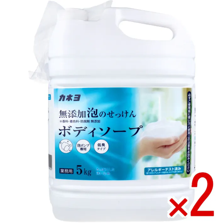 【2点まとめ買い】【業務用】無添加泡のせっけんボディソープ 泡ポンプ専用 低臭タイプ 5kg × 2点 さっぱりとした洗い心地。 【送料込み】