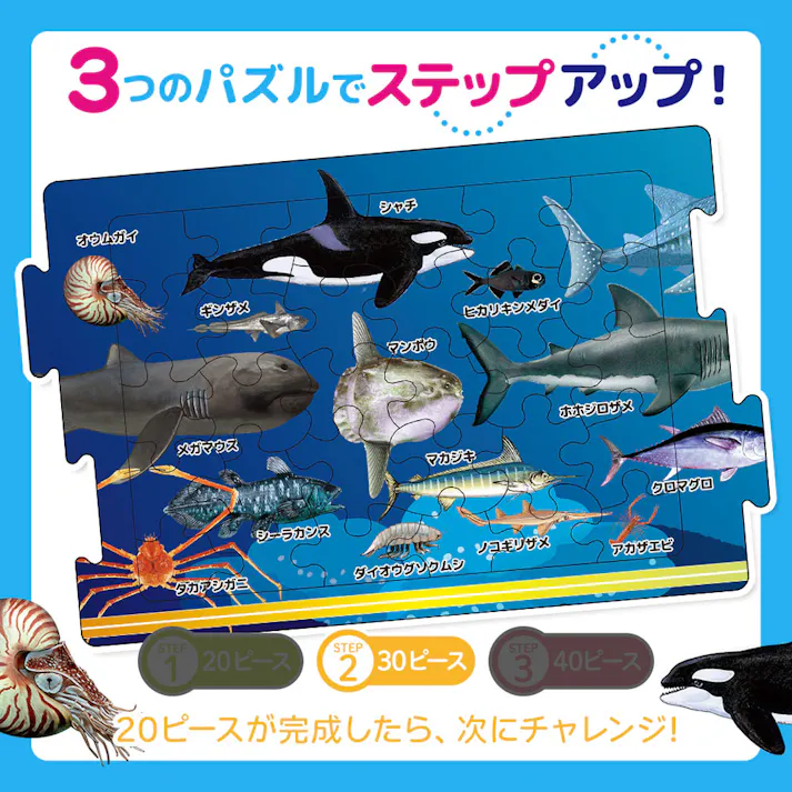 【10点まとめ買い】つなげるパズル図鑑 海のいきもの 1セット × 10点 3つのパズルでステップアップ! 遊べる!学べる!つなげるパズル図鑑(解説書つき)。 【送料込み】