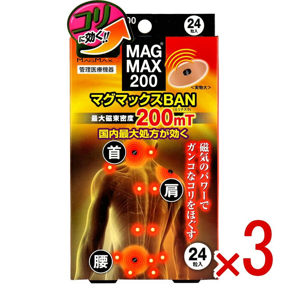 3点まとめ買い】MAGMAX200 マグマックスBAN 24粒入 × 3点 磁気のパワー