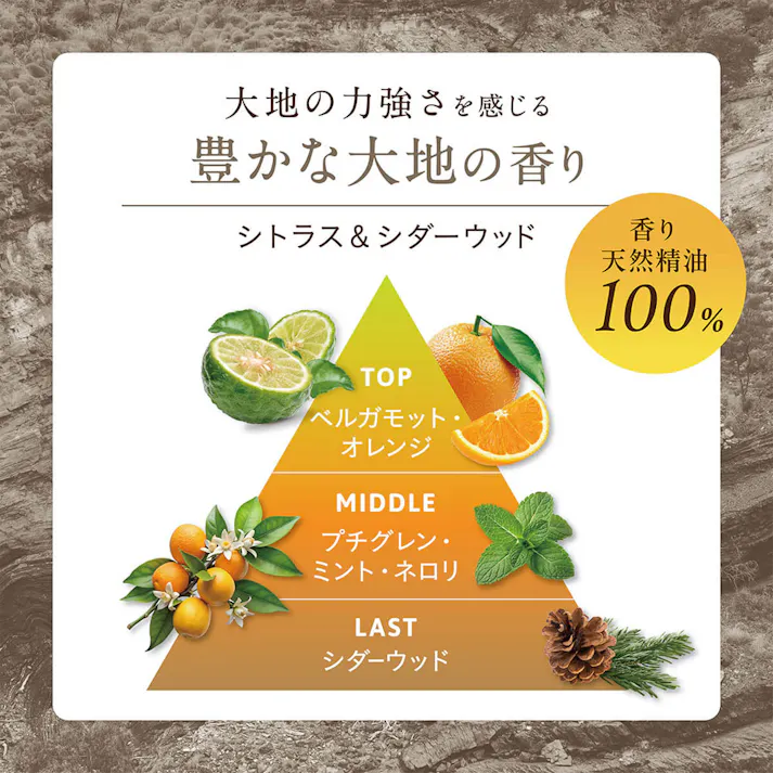 【3点まとめ買い】ココパーム ランドエッセンストリートメント 本体 450mL × 3点 あなたと大地を美しく。 大地のめぐみで地肌と髪のうるおい守り、健やかなさら髪へ。 【送料込み】