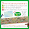 【2点まとめ買い】つなげるパズル図鑑 古生物 1セット × 2点 3つのパズルでステップアップ! 遊べる!学べる!つなげるパズル図鑑(解説書つき)。 【送料込み】