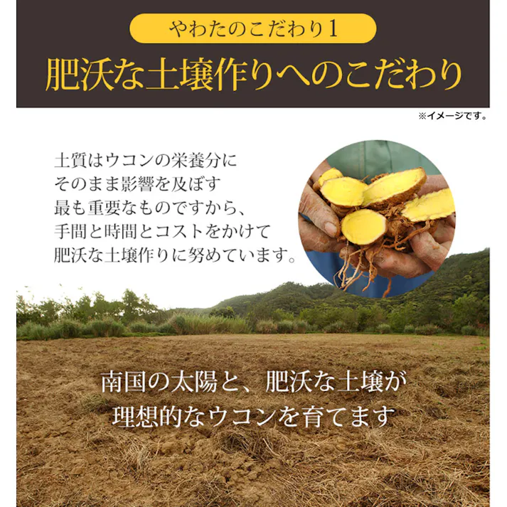 【2点まとめ買い】※やわた ヘルスサポート 琉球ウコン 1ケ月分 90粒入 × 2点 夜のつきあいが多い方! 【送料込み】