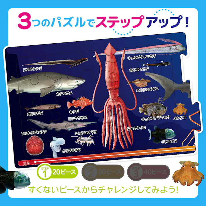 【2点まとめ買い】つなげるパズル図鑑 海のいきもの 1セット × 2点 3つのパズルでステップアップ! 遊べる!学べる!つなげるパズル図鑑(解説書つき)。 【送料込み】