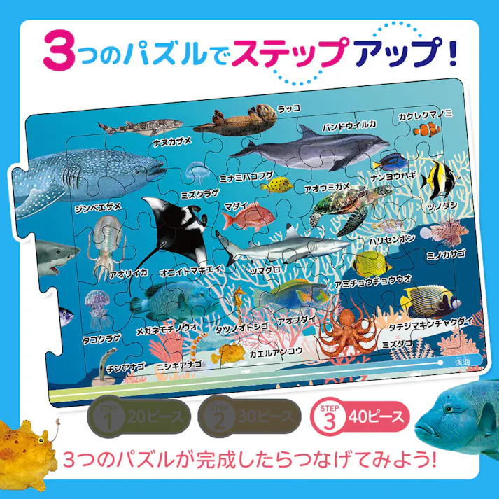 【2点まとめ買い】つなげるパズル図鑑 海のいきもの 1セット × 2点 3つのパズルでステップアップ! 遊べる!学べる!つなげるパズル図鑑(解説書つき)。 【送料込み】