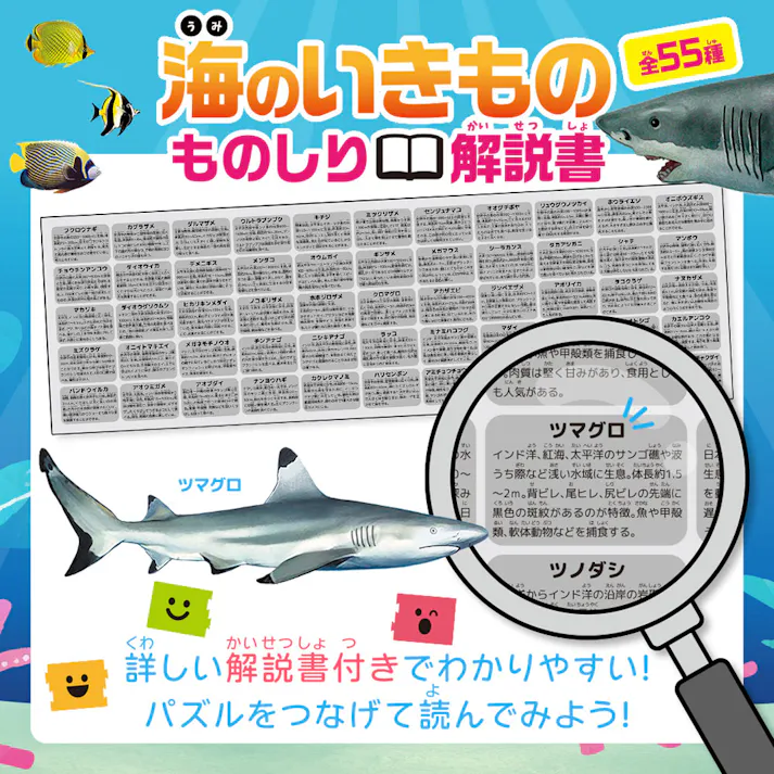 【2点まとめ買い】つなげるパズル図鑑 海のいきもの 1セット × 2点 3つのパズルでステップアップ! 遊べる!学べる!つなげるパズル図鑑(解説書つき)。 【送料込み】