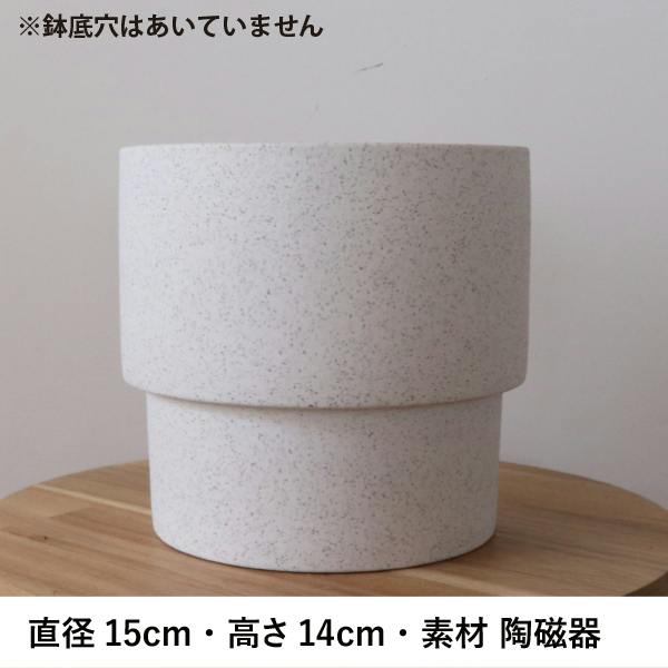 サンスベリア 陶器鉢セット インテリアグリーン ギフトにも 送料無料