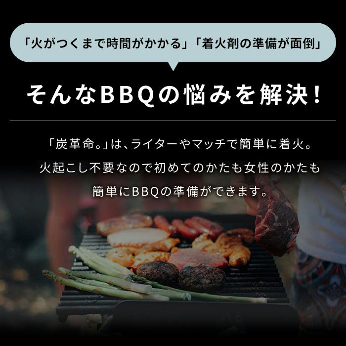 着火炭 木炭 バーベキュー用 12個入 着火剤不要 簡単着火 約3時間燃焼