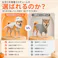 犬 コスプレ 恐竜 ぬいぐるみ 90/120cm スケルトン コスチューム ティラノサウルス着ぐるみ かぶりもの 柔らかい 可愛い