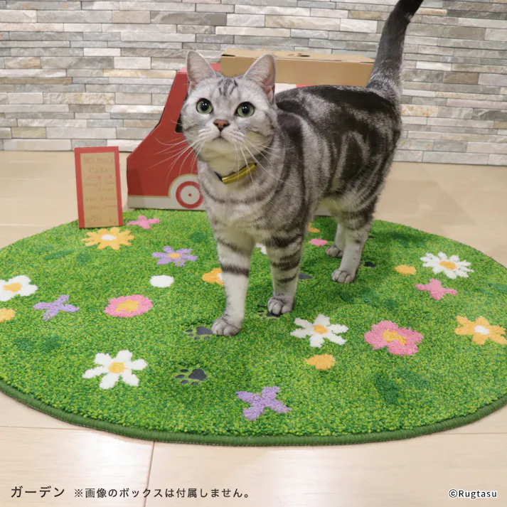 【1枚売り】70×90cm ペット おすすめ ラグタス ネコラグ すべり止め 付き 洗える かわいい ラグ マット 子犬 子猫 老犬 シニア (ガーデン)