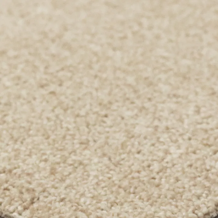 【1枚売り】 60×300cm ペット おすすめ ラグタス 廊下 敷き ロングマット 長さ 3m すべり止め 付き 洗える 子犬 子猫 老犬 シニア (ベージュ)肉球刺繍なし