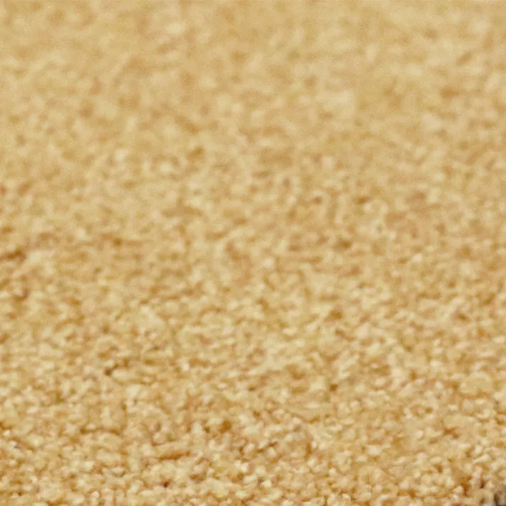 【4枚入】 70×22cm ペット おすすめ ラグタス 階段マット ワイド すべり止め 付き 洗える 子犬 子猫 老犬 シニア (イエロー)肉球刺繍なし