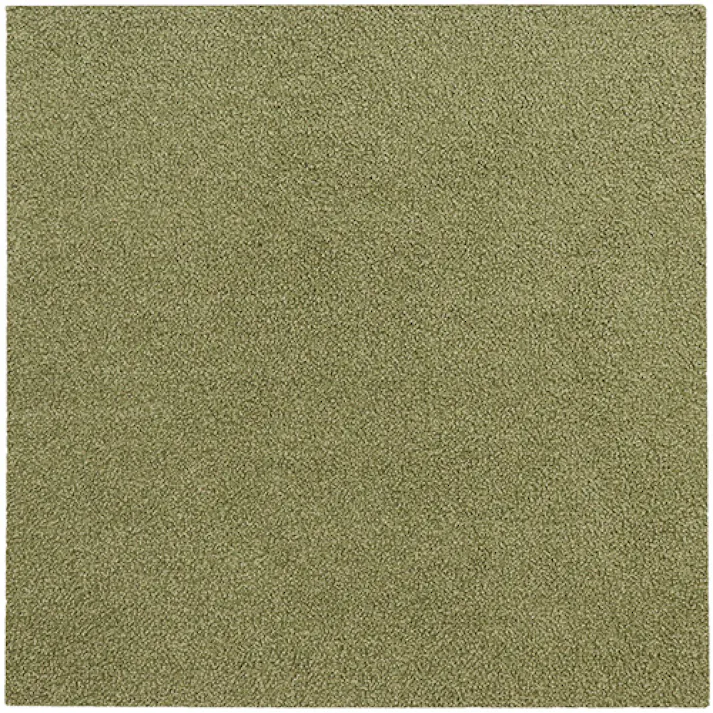 【4枚入】 50×50cm ペット おすすめ ラグタス タイルラグ スクエア すべり止め 付き 洗える タイルカーペット 50cm角 正方形 子犬 子猫 老犬 シニア (グリーン)