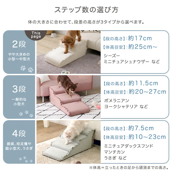 大人かわいい フリル付きベロアペットステップ 2段【Chammy -チャミー-】/色:アイボリー ドッグステップ ペットステップ 小型犬 ステップ 老犬 階段 北欧 ペット用品 犬 ソファ 昇り降り フリル付き/お客様組立て【送料込み】