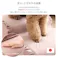 大人かわいい フリル付きベロアペットステップ 3段【Chammy -チャミー-】/色:ベージュ ドッグステップ ペットステップ 小型犬 ステップ 老犬 階段 北欧 ペット用品 犬 ソファ 昇り降り フリル付き/お客様組立て【送料込み】