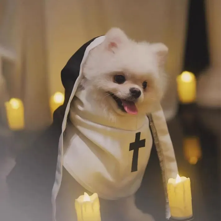 ペット服 犬用修道女 コスプレ ハロウィン シスター服 コスチューム 猫 犬 ペットウェア なりきり変身 面白い