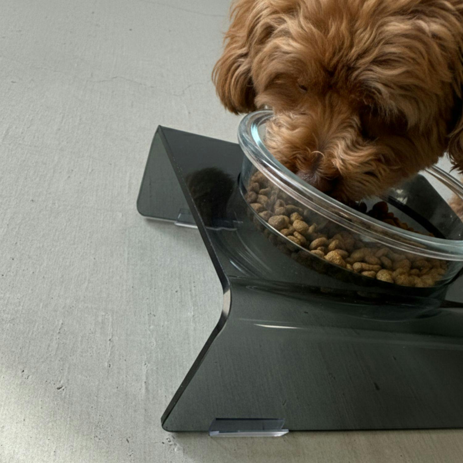送料無料】【MIRU MEAL 1 ダークグレー】ペット 犬 猫 フードボウル