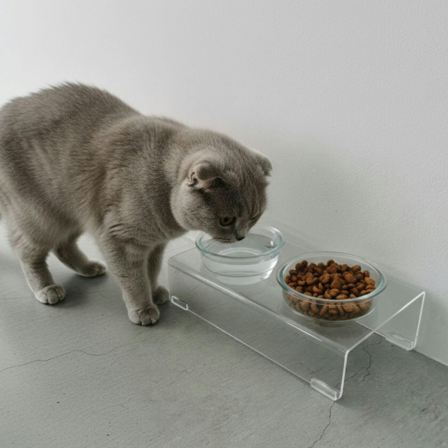 送料無料】【MIRU MEAL 2 クリア】ペット 犬 猫 フードボウル 食器