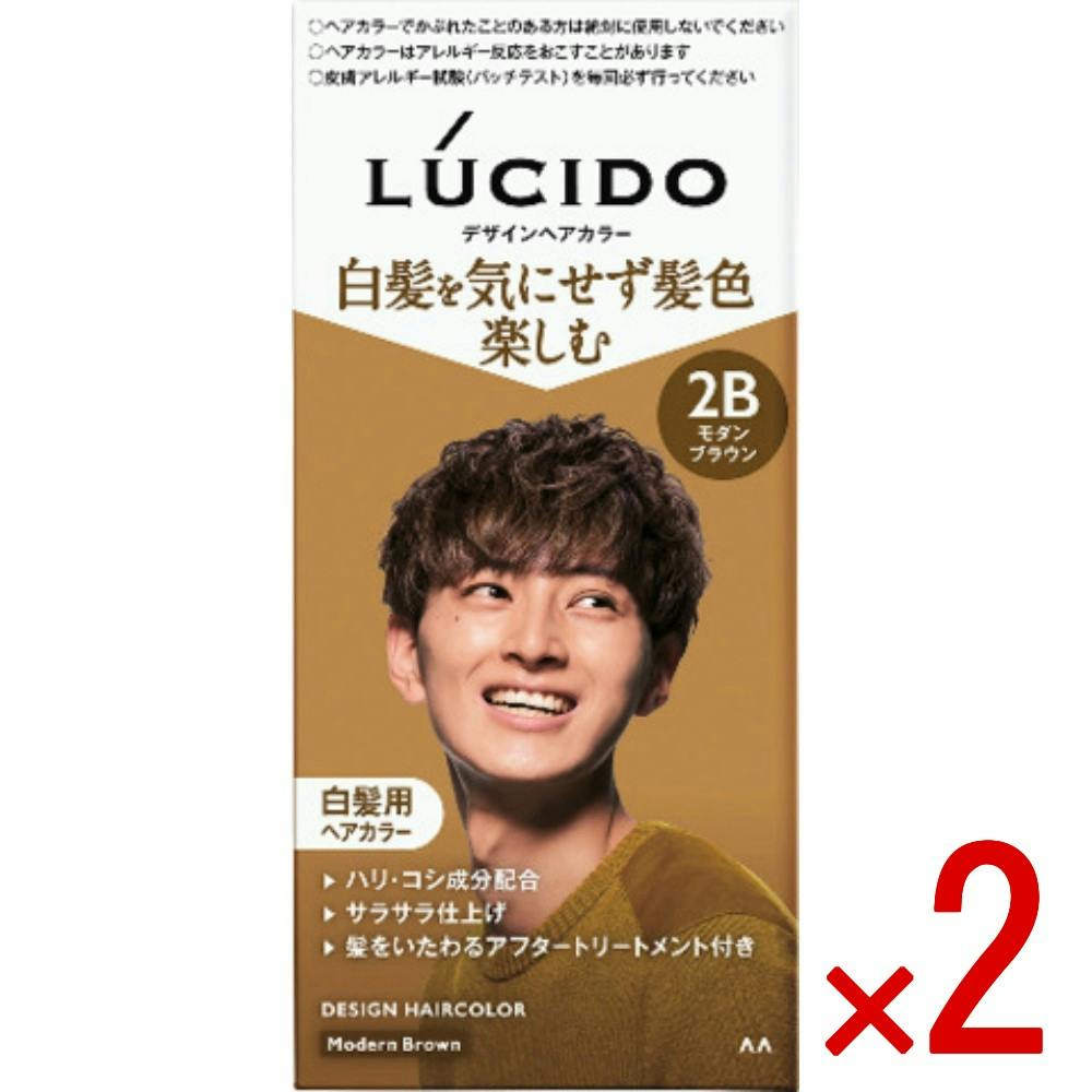 2点まとめ買い】ルシード デザインヘアカラー モダンブラウン × 2点