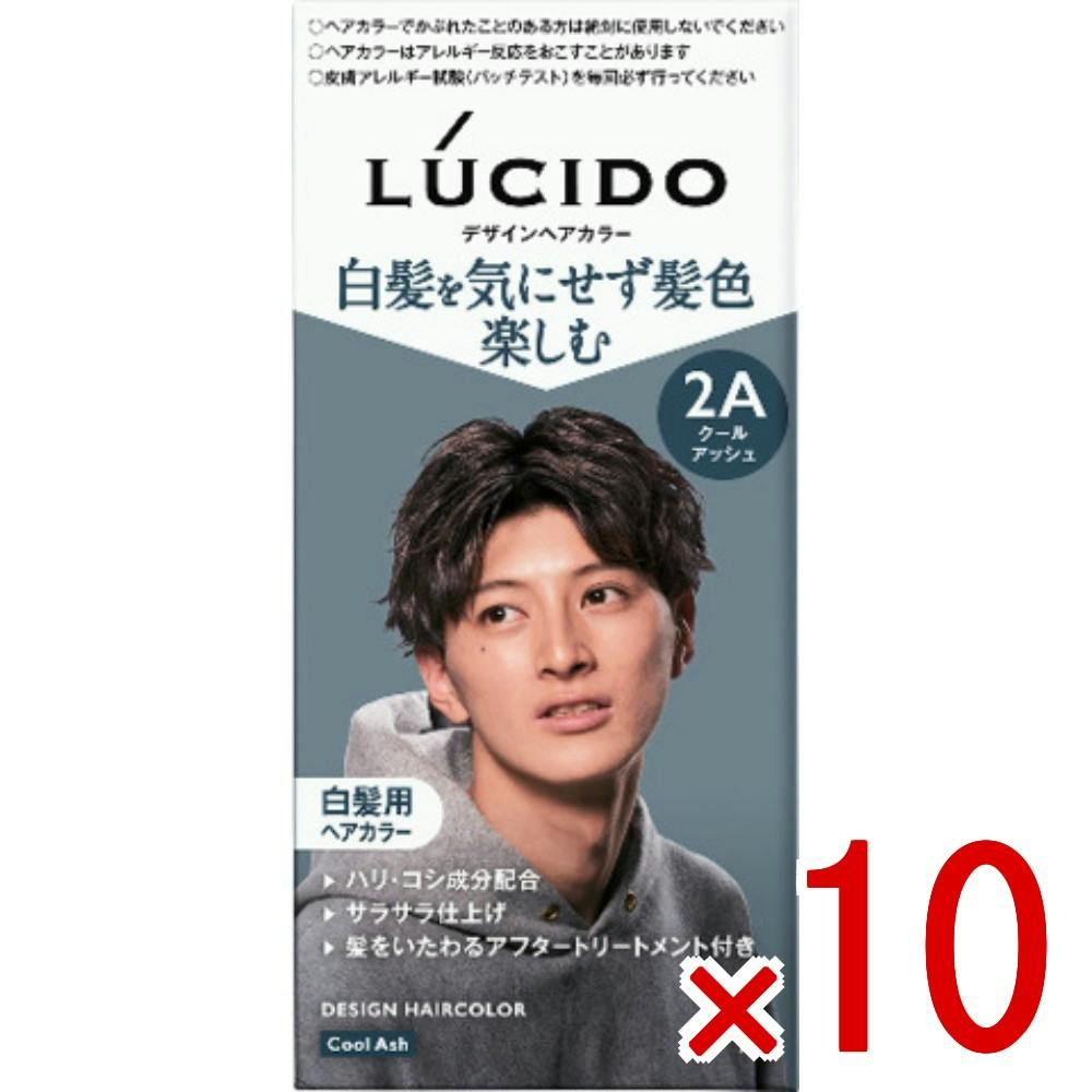 【新品・未使用】ヘアカラーまとめ売り　141本 10点まとめ買い】ルシード デザインヘアカラー クールアッシュ × 10点