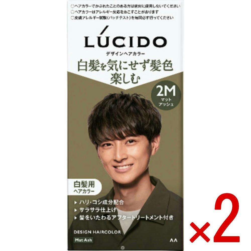 2点まとめ買い】ルシード デザインヘアカラー マットアッシュ × 2点