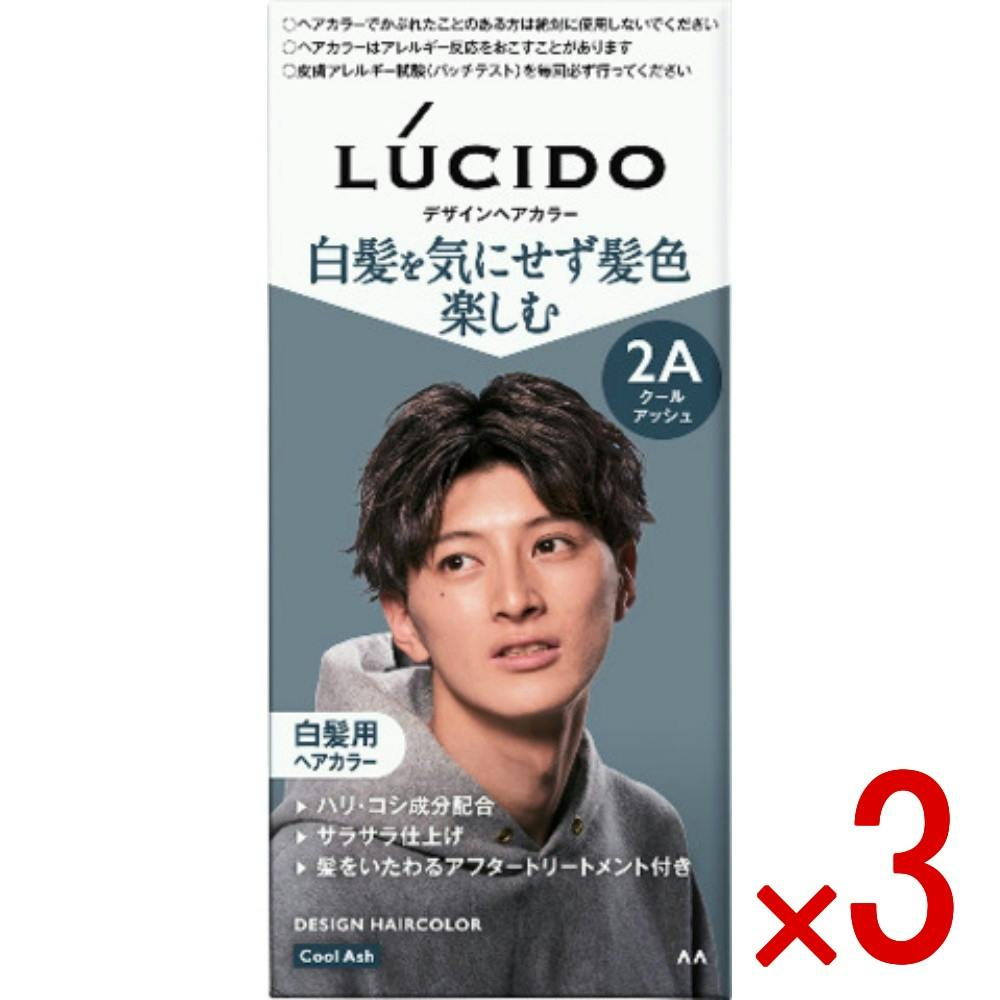 3点まとめ買い】ルシード デザインヘアカラー クールアッシュ × 3点