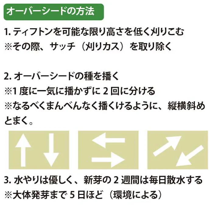 ティフトン用オーバーシードと土のセット 25平米用(ペレニアルライグラス 1袋1kg、専用土30Lx2) 一緒にまくと発芽率アップ! [GN