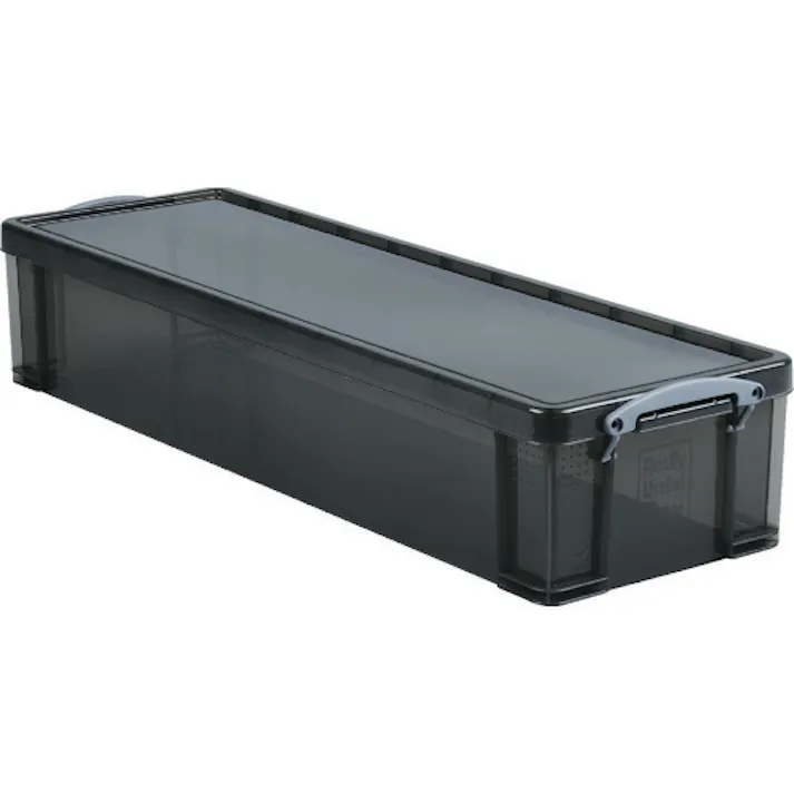【CAINZ-DASH】RUP社 収納ケース 22L スモーク 22TSMK【別送品】