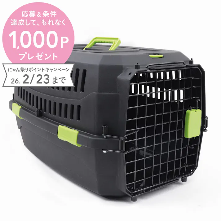 ECOVIAGGIO ペットキャリー S
