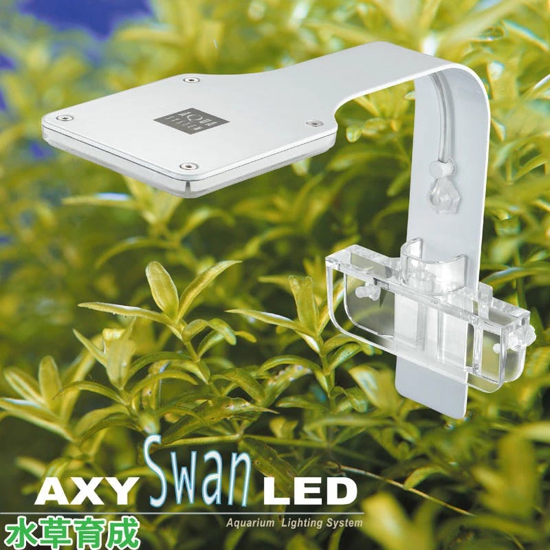 アクアシステム アクシースワンLED 10W 水草育成 4516830212415 水槽・アクアリウム アクアシステム アクシースワンLED 10W 水草育成 4516830212415 水槽・アクアリウム