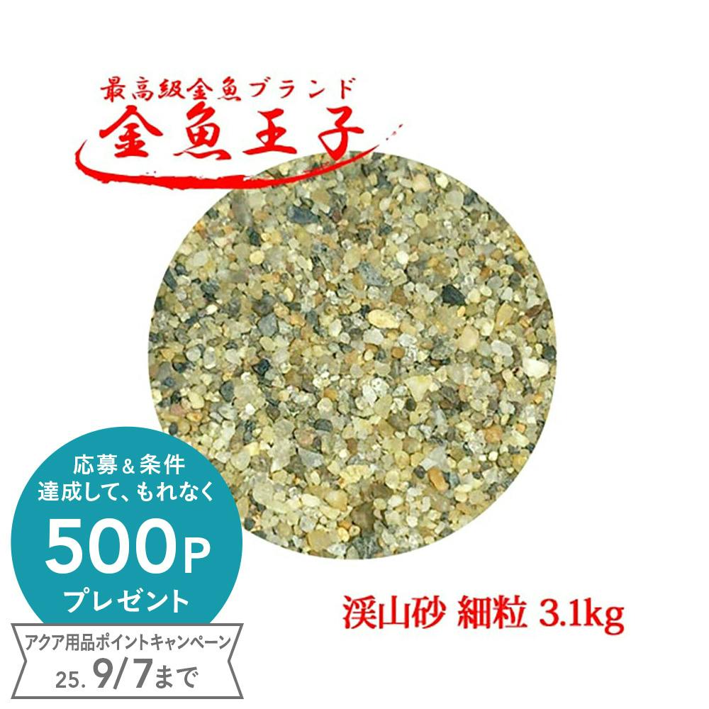 アクアシステム 金魚王子 渓山砂 細粒 3.1kg 4516830510511 水槽用インテリア・底砂 アクアシステム 金魚王子 渓山砂 細粒 3.1kg 4516830510511 水槽用インテリア・底砂