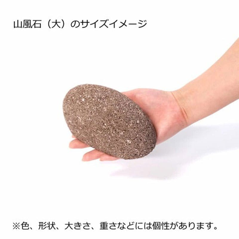 魚の化石 額装品 約30cm Whiteia003-9.jpg