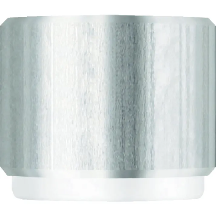 【CAINZ-DASH】PBスイスツールズ社 替ヘッド(スチールインサート)40mm 300C-5【別送品】