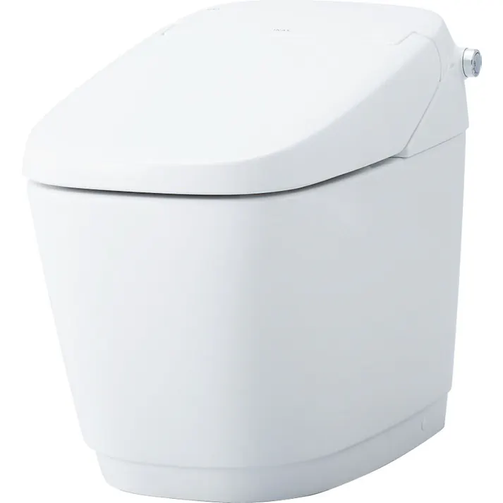 LIXIL INAX サティス G5タイプ リトイレ 床排水 一般地用 ピュアホワイト YBC-G30H+DV-G315H_BW1