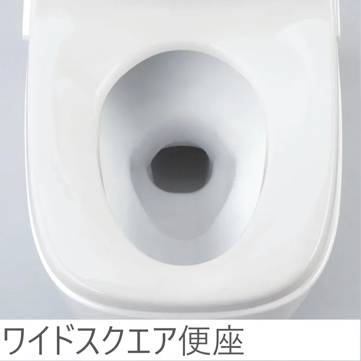 LIXIL INAX サティス G6タイプ フルオート便座 リトイレ 床排水 一般地用 ピュアホワイト YBC-G30H+DV-G316H_BW1