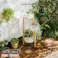 プランタースタンド S ホワイト/ナチュラル 31×32×66cm 観葉植物 収納 植木鉢 LN-E-PSS【別送品】