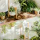 プランタースタンド S ホワイト/ナチュラル 31×32×66cm 観葉植物 収納 植木鉢 LN-E-PSS【別送品】