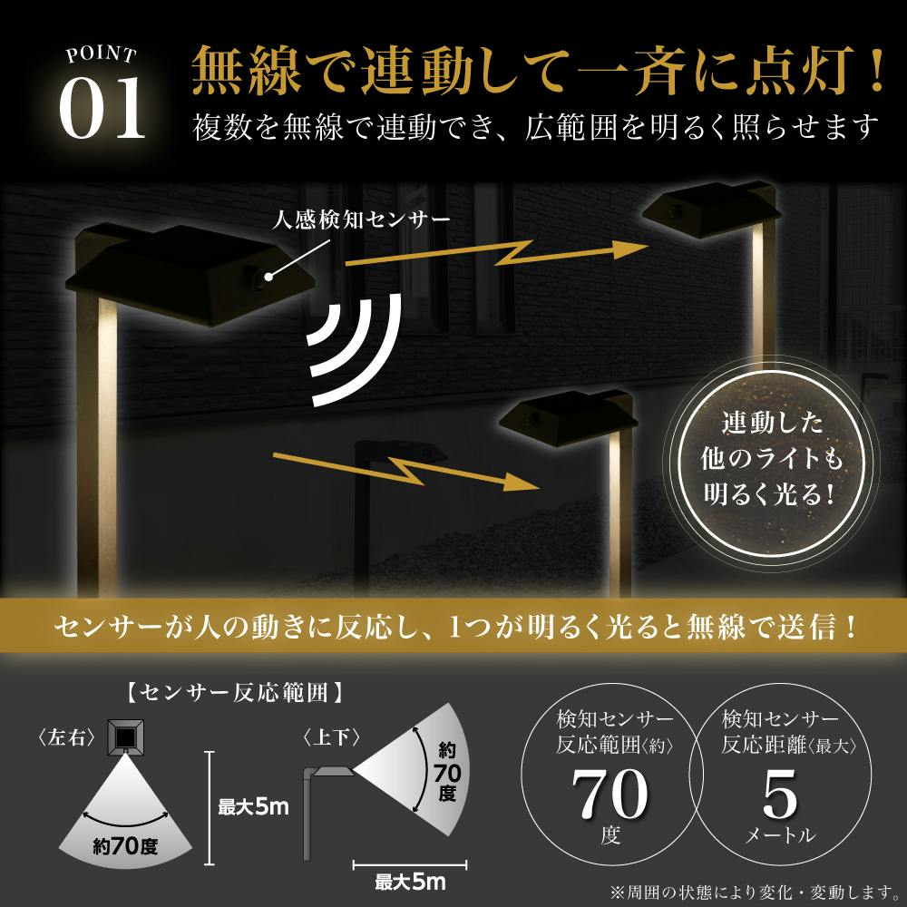 連動式センサーソーラーライト ニコロジー2P ブラック 13×17×59cm 人感