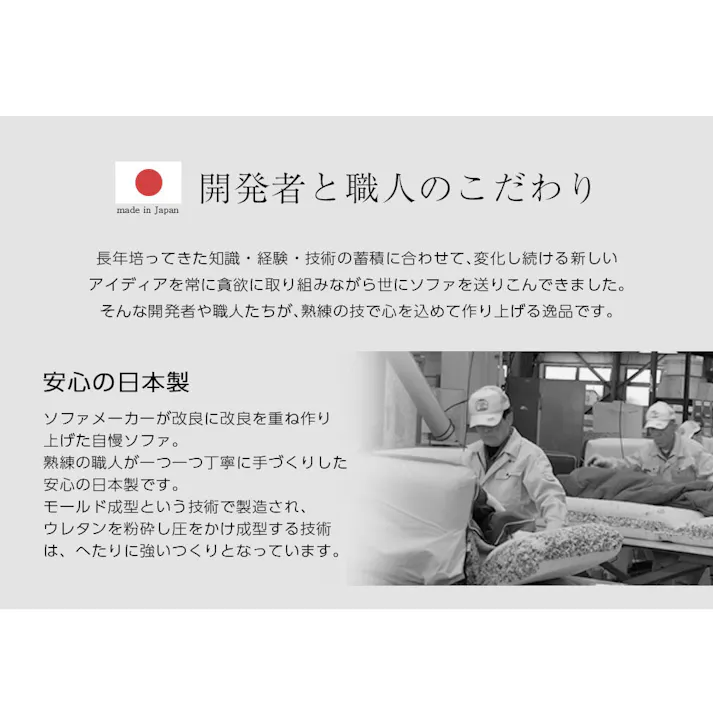 和楽の星 ローソファー 3点セット レイアウト自在 テクノブラウン カバーが洗える 日本製 A847a-594BR【別送品】