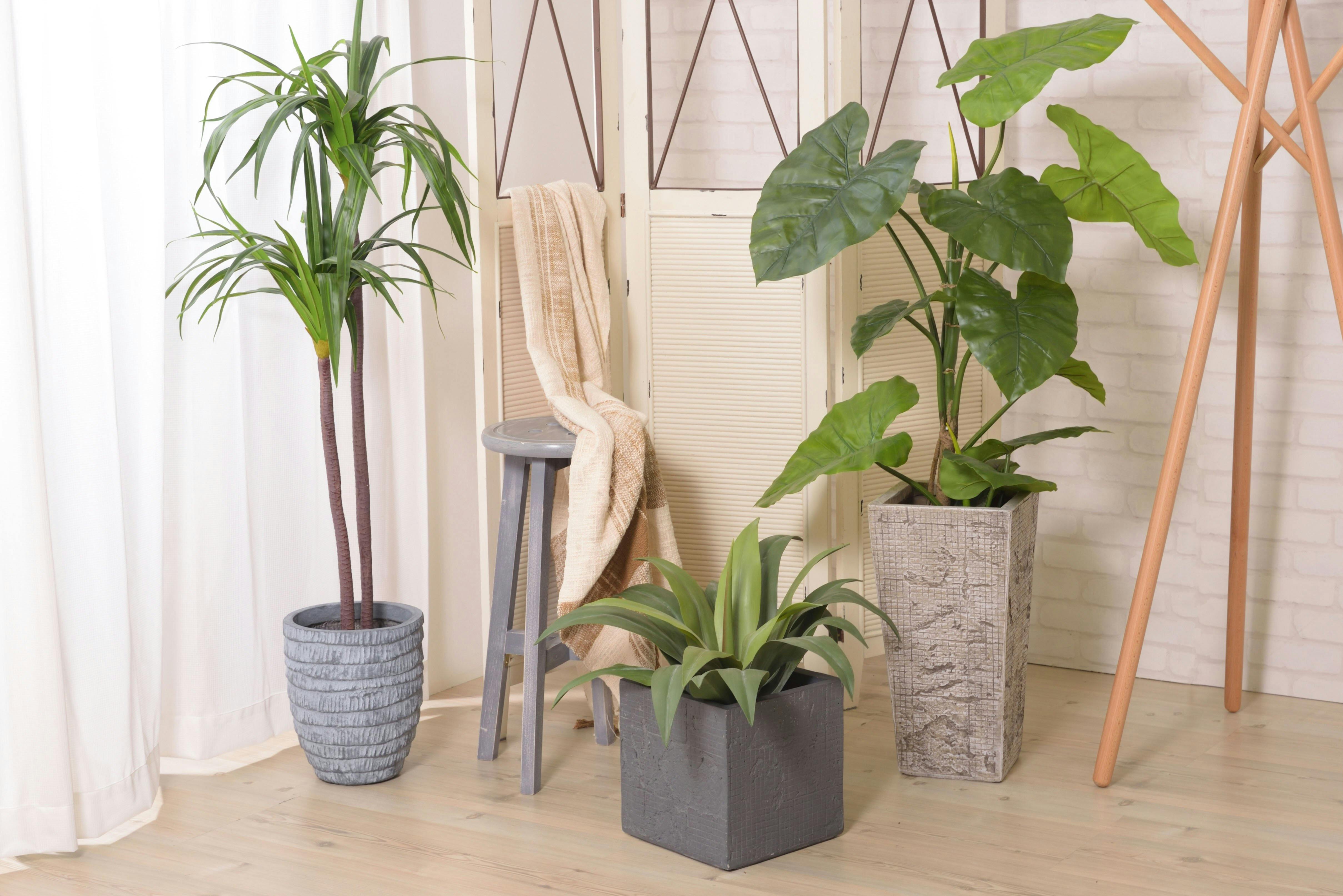 東谷 Room Essence フェイクグリーン クワズイモ グリーン Size：57×57