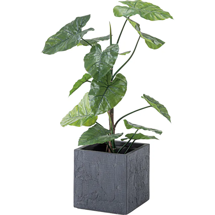 東谷 Room Essence グリーンベース ダークグレー Size:32×32×32 【4985155209507】 GRNB-209【別送品】