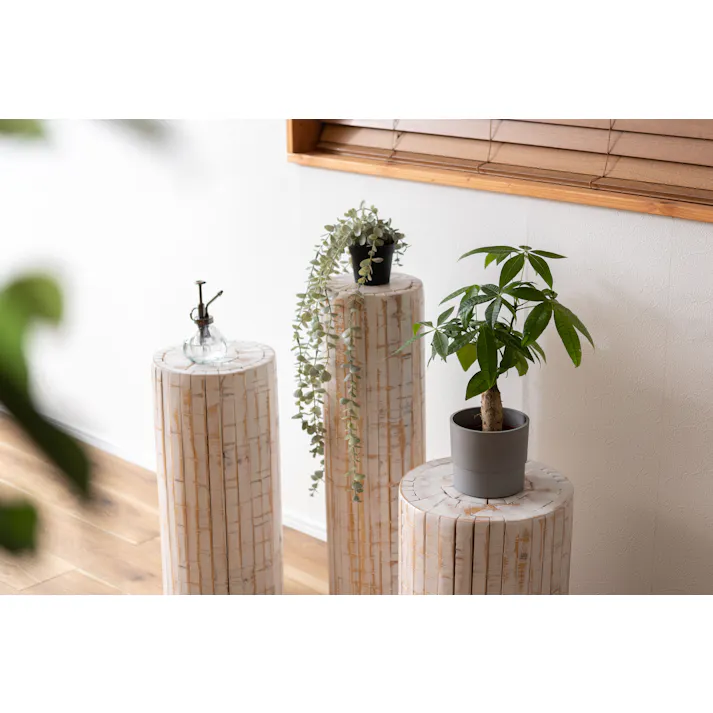 東谷 Room Essence グリーンベース ホワイト Size:30×30×40 【4985155221318】 GUY-928WH【別送品】