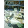 東谷 Room Essence ソファ 2人掛 ナチュラル Size:115×78×72 【4985155210350】 NRS-503【別送品】