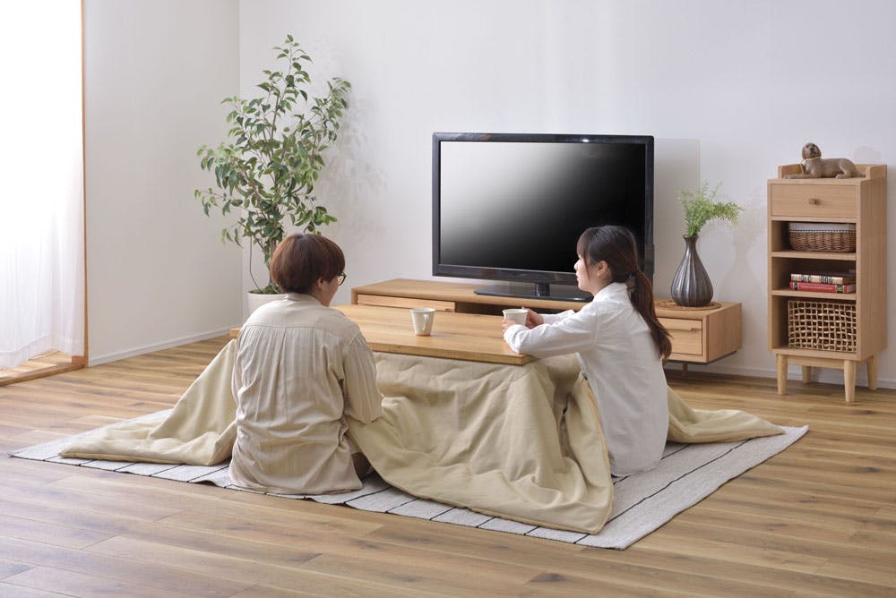 東谷 Room Essence 薄掛コタツ布団 長方形 ベージュ Size：190×230