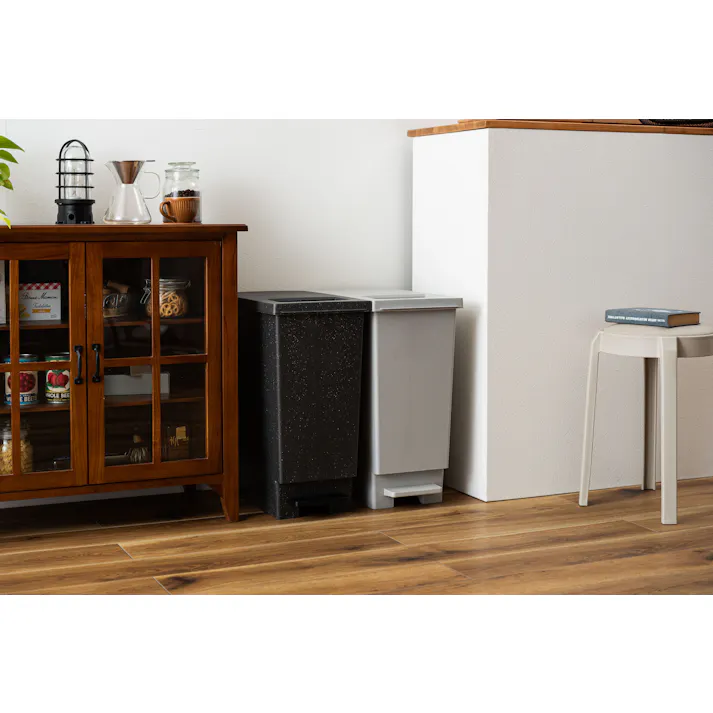 Room Essence トラッシュカン 45L W26.5×D45.5×H55.5 グレー 完成品 ゴミ箱 45リットル おしゃれ 分別 ごみ箱 プッシュ型 ペダル型 ダストボックス 蓋付き キッチン 45L フタ付き 縦型 シンプル 北欧 韓国 コンパクト LFS-861GY【別送品】
